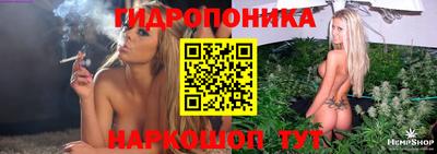 спайс Будённовск